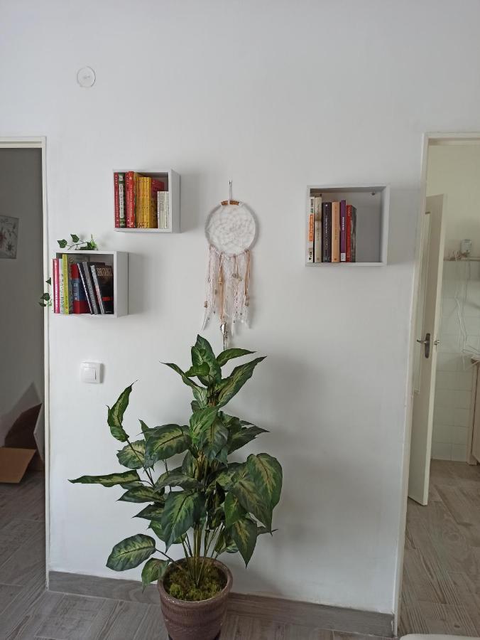 Apartamento Elizondo Giltxaurdi Εξωτερικό φωτογραφία